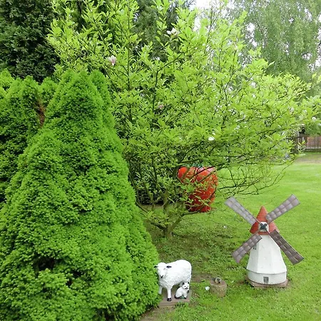 Ehrenberg *